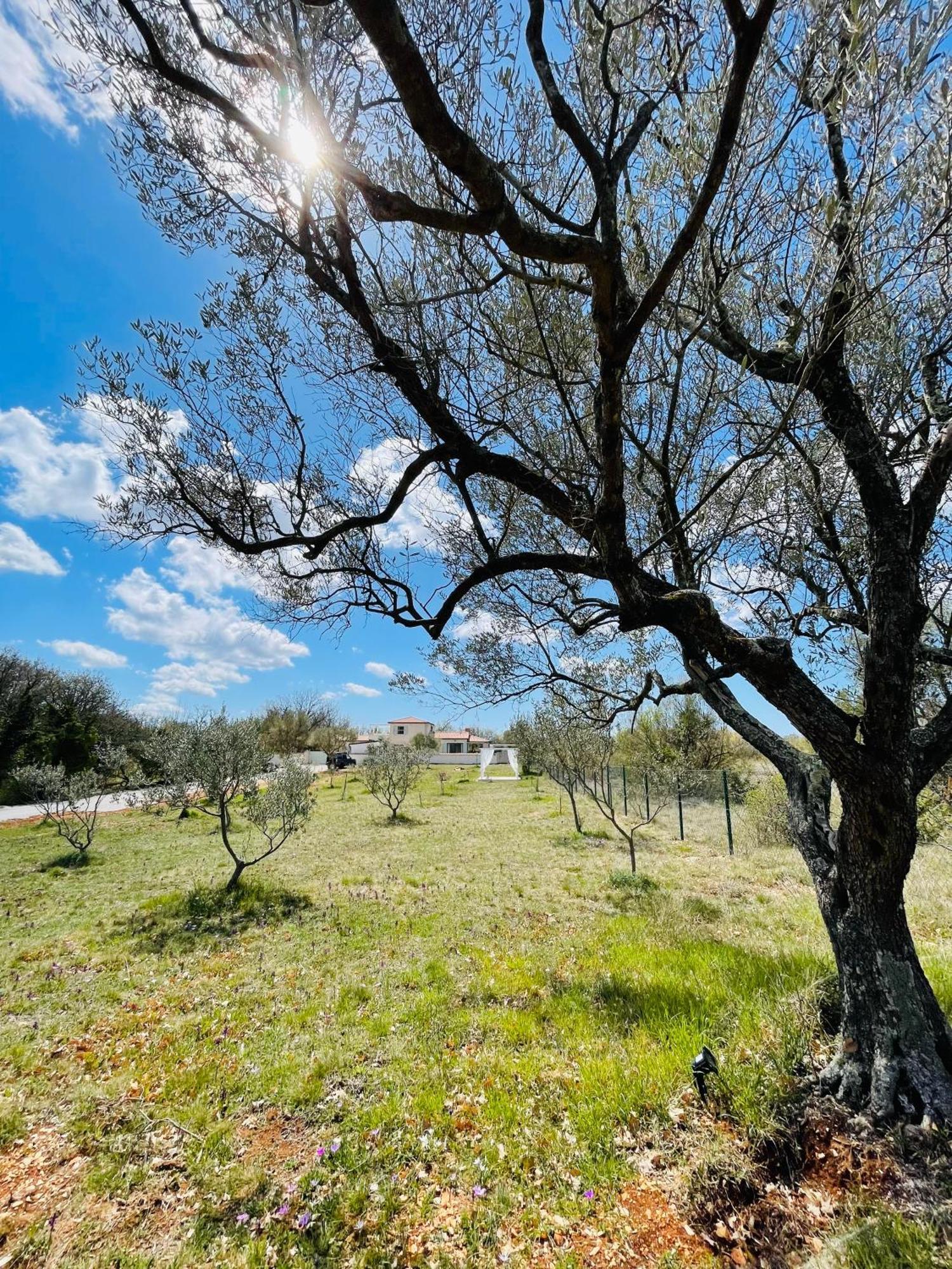 Luxury Villa In Istria - 9,000 Sqm Private Estate With Pool & Sauna, 15 Min To Sea, Near Fazana, 3 Bedrooms Jursici Luaran gambar